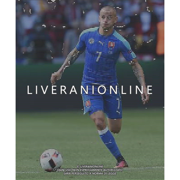 UEFA Francia EURO 2016 Final Tournament Round of 16 Lille - 26.06.2016 Germania-Slovacchia Nella Foto:Weiss Vladimir /Ph.Vitez-Ag. Aldo Liverani