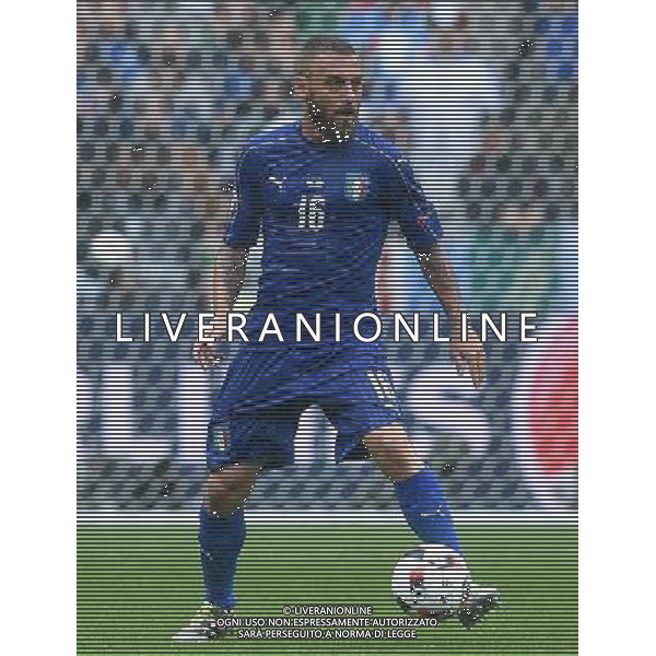 UEFA Francia EURO 2016 Final Tournament Round of 16 Parigi Saint-Denis - 27.06.2016 Italia-Spagna Nella Foto:de rossi daniele /Ph.Vitez-Ag. Aldo Liverani