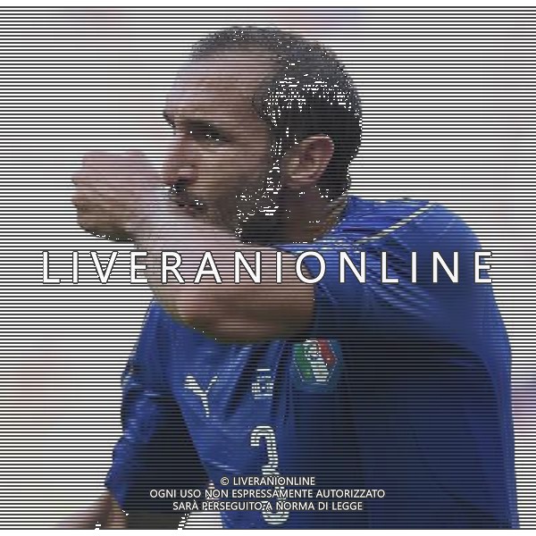 UEFA Francia EURO 2016 Final Tournament Round of 16 Parigi Saint-Denis - 27.06.2016 Italia-Spagna Nella Foto: abbracci esultanza dopo il gol di giorgio chiellini del 1-0 /Ph.Vitez-Ag. Aldo Liverani