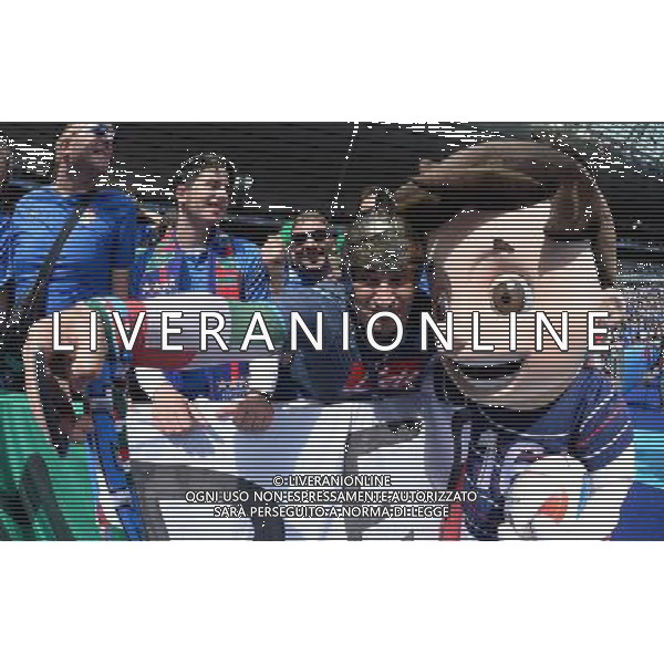 UEFA Francia EURO 2016 Final Tournament Round of 16 Parigi Saint-Denis - 27.06.2016 Italia-Spagna Nella Foto:Tifosi Italia /Ph.Vitez-Ag. Aldo Liverani