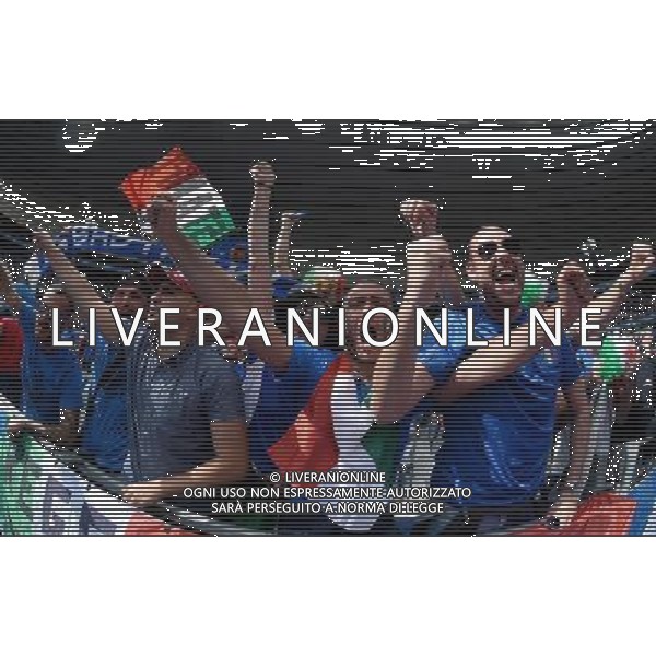 UEFA Francia EURO 2016 Final Tournament Round of 16 Parigi Saint-Denis - 27.06.2016 Italia-Spagna Nella Foto:Tifosi Italia /Ph.Vitez-Ag. Aldo Liverani