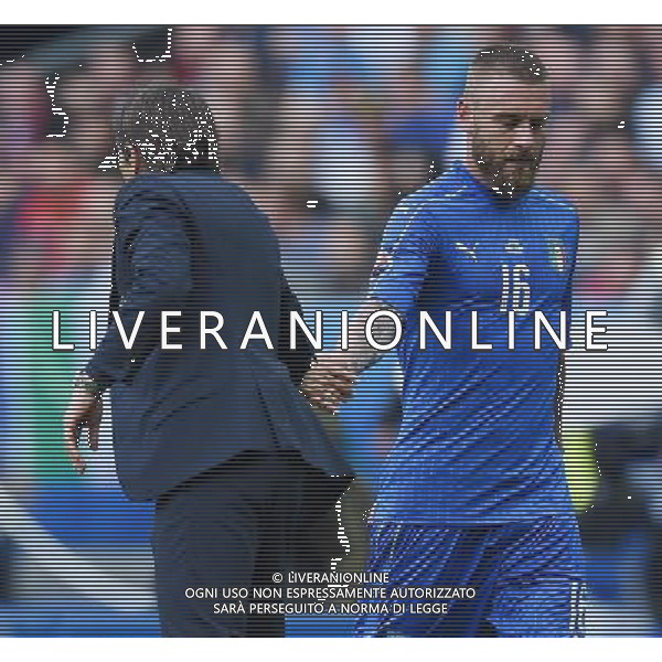 UEFA Francia EURO 2016 Final Tournament Round of 16 Parigi Saint-Denis - 27.06.2016 Italia-Spagna Nella Foto:conte antonio daniele de rossi sostituzione /Ph.Vitez-Ag. Aldo Liverani