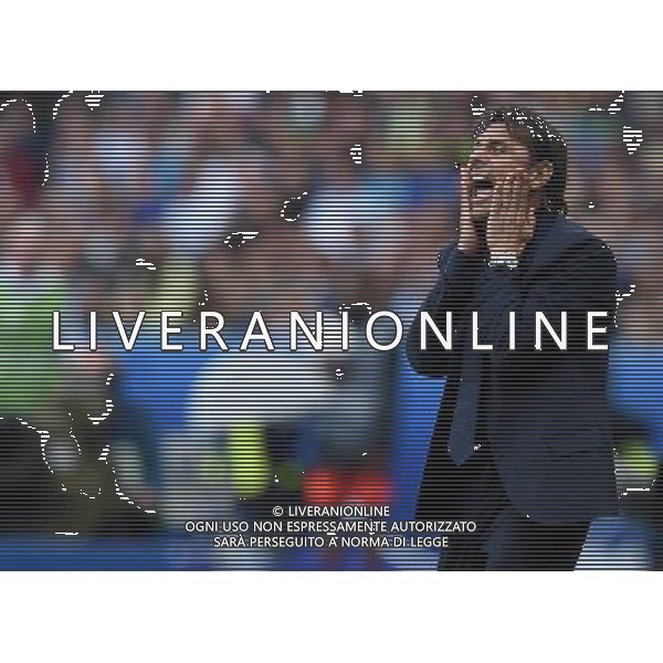 UEFA Francia EURO 2016 Final Tournament Round of 16 Parigi Saint-Denis - 27.06.2016 Italia-Spagna Nella Foto:conte antonio /Ph.Vitez-Ag. Aldo Liverani