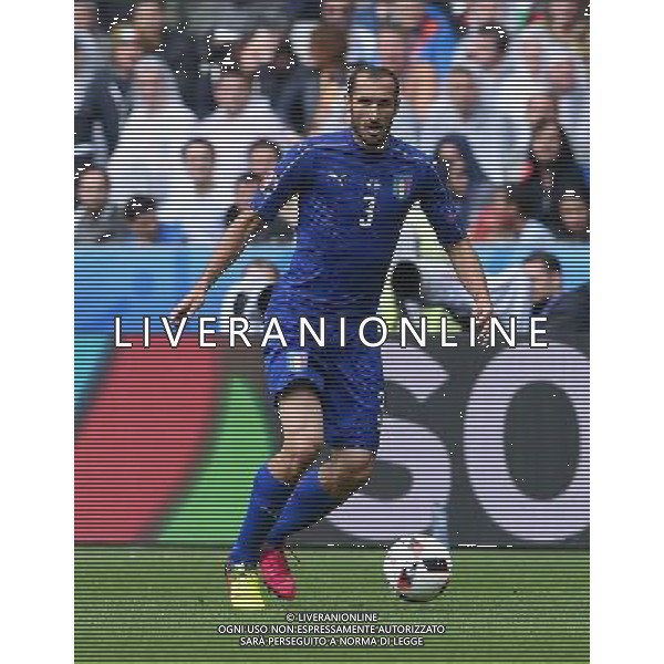 UEFA Francia EURO 2016 Final Tournament Round of 16 Parigi Saint-Denis - 27.06.2016 Italia-Spagna Nella Foto:Chiellini Giorgio /Ph.Vitez-Ag. Aldo Liverani
