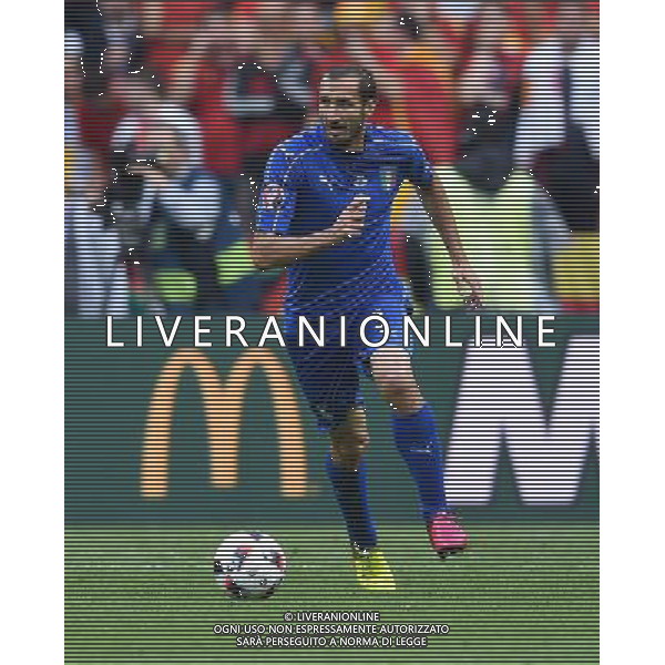 UEFA Francia EURO 2016 Final Tournament Round of 16 Parigi Saint-Denis - 27.06.2016 Italia-Spagna Nella Foto:Chiellini Giorgio /Ph.Vitez-Ag. Aldo Liverani