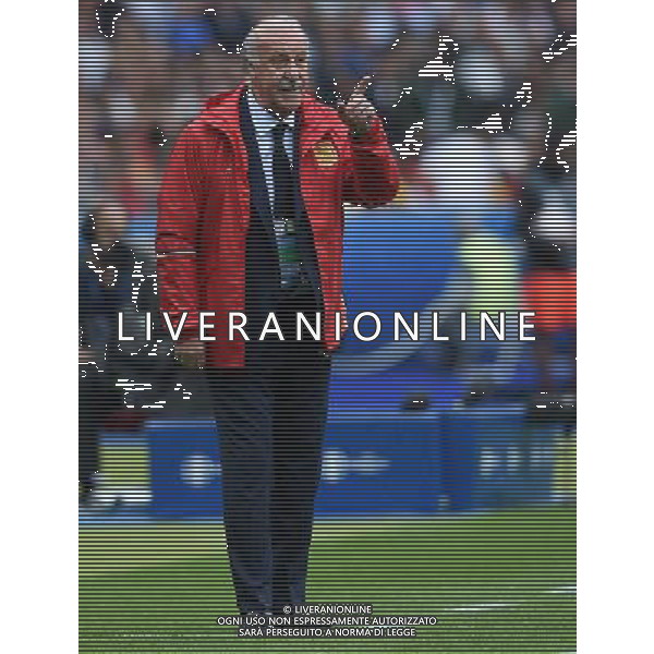 UEFA Francia EURO 2016 Final Tournament Round of 16 Parigi Saint-Denis - 27.06.2016 Italia-Spagna Nella Foto:Del Bosque Vicente /Ph.Vitez-Ag. Aldo Liverani