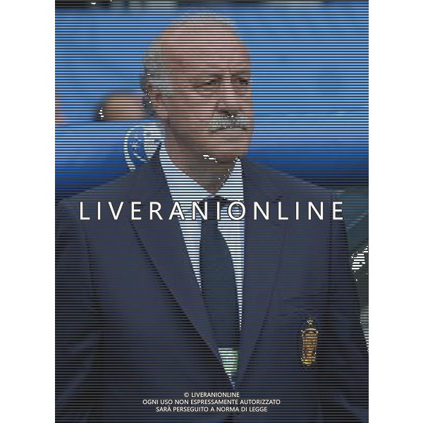 UEFA Francia EURO 2016 Final Tournament Round of 16 Parigi Saint-Denis - 27.06.2016 Italia-Spagna Nella Foto:Del Bosque Vicente /Ph.Vitez-Ag. Aldo Liverani