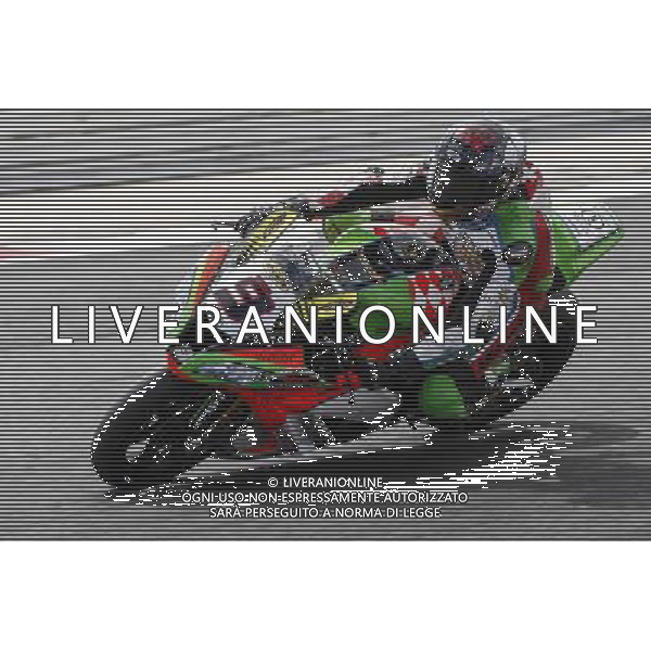Campionato Mondiale Superbike, Pirelli Riviera di Rimini, Round 8, Misano 17/06/2016, nella foto: SCHMITTER DOMINIC, ©C.ZAMAGNI/AGENZIA ALDO LIVERANI S.A.S