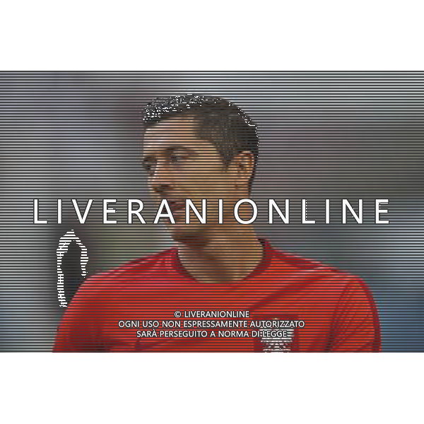 30.06.2016, Marsylia, pilka nozna, mistrzostwa Europy w pilce noznej, UEFA EURO 2016, Polska - Portugalia , {persons}, Poland - Portugal , European Football Championship, fot. Lukasz Skwiot / Foto Olimpik / NEWSPIX.PL --- Newspix.pl 30 -06-2016 MARSIGLIA EURO 2016 QUARTI DI FINALE POLONIA -PORTOGALLO AG ALDO LIVERANI SAS ONLY ITALY *** Local Caption *** www.newspix.pl mail us: info@newspix.pl call us: 0048 022 23 22 222 --- Polish Picture Agency by Ringier Axel Springer Poland