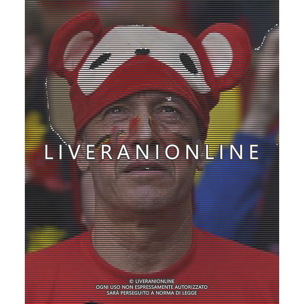 UEFA Francia EURO 2016 Final Tournament Quarter Finals Lille - 01.07.2016 Galles-Belgio Nella Foto:tifosi /Ph.Vitez-Ag. Aldo Liverani