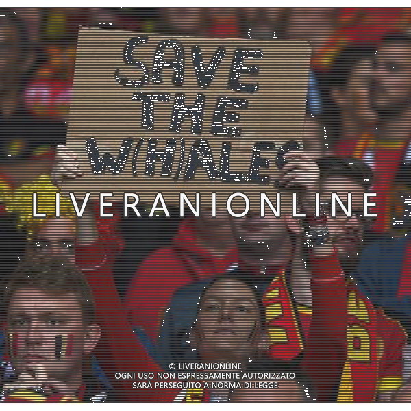 UEFA Francia EURO 2016 Final Tournament Quarter Finals Lille - 01.07.2016 Galles-Belgio Nella Foto:tifosi /Ph.Vitez-Ag. Aldo Liverani
