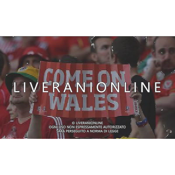UEFA Francia EURO 2016 Final Tournament Quarter Finals Lille - 01.07.2016 Galles-Belgio Nella Foto:tifosi /Ph.Vitez-Ag. Aldo Liverani