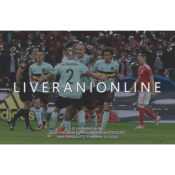 UEFA Francia EURO 2016 Final Tournament Quarter Finals Lille - 01.07.2016 Galles-Belgio Nella Foto:nainggolan esultanza dopo il gol /Ph.Vitez-Ag. Aldo Liverani
