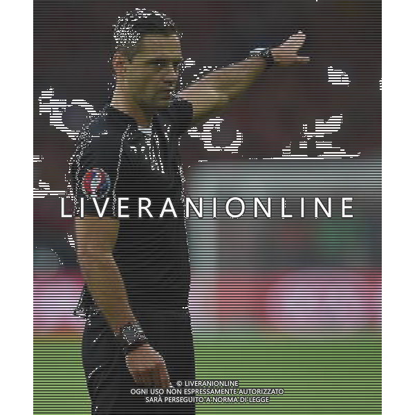 UEFA Francia EURO 2016 Final Tournament Quarter Finals Lille - 01.07.2016 Galles-Belgio Nella Foto:skomina arbitro /Ph.Vitez-Ag. Aldo Liverani