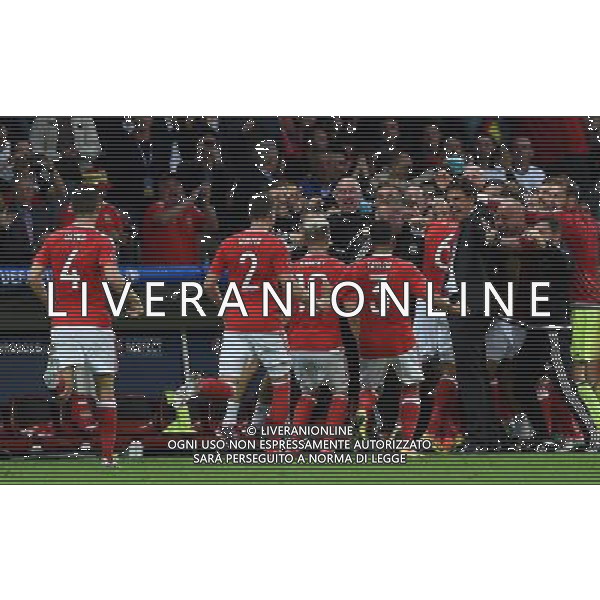 UEFA Francia EURO 2016 Final Tournament Quarter Finals Lille - 01.07.2016 Galles-Belgio Nella Foto:williams esultanza dopo il gol /Ph.Vitez-Ag. Aldo Liverani