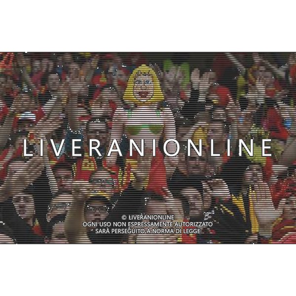 UEFA Francia EURO 2016 Final Tournament Quarter Finals Lille - 01.07.2016 Galles-Belgio Nella Foto:tifosi /Ph.Vitez-Ag. Aldo Liverani