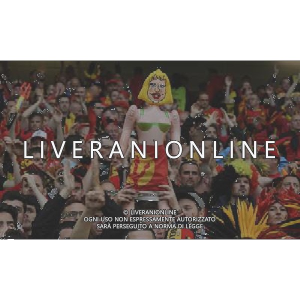 UEFA Francia EURO 2016 Final Tournament Quarter Finals Lille - 01.07.2016 Galles-Belgio Nella Foto:tifosi /Ph.Vitez-Ag. Aldo Liverani