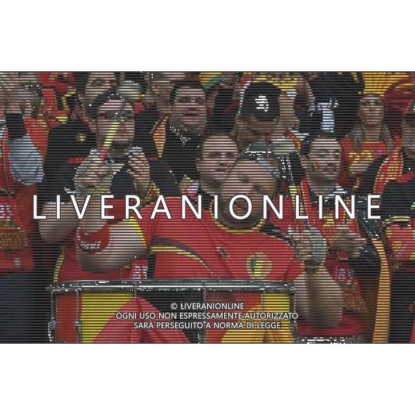 UEFA Francia EURO 2016 Final Tournament Quarter Finals Lille - 01.07.2016 Galles-Belgio Nella Foto:tifosi /Ph.Vitez-Ag. Aldo Liverani