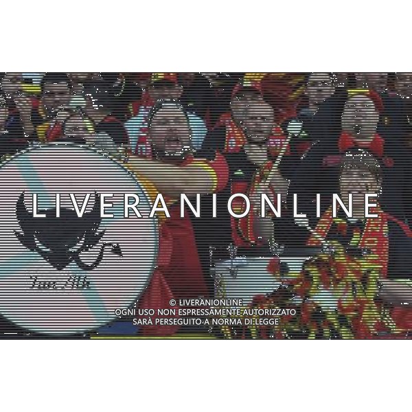 UEFA Francia EURO 2016 Final Tournament Quarter Finals Lille - 01.07.2016 Galles-Belgio Nella Foto:tifosi /Ph.Vitez-Ag. Aldo Liverani