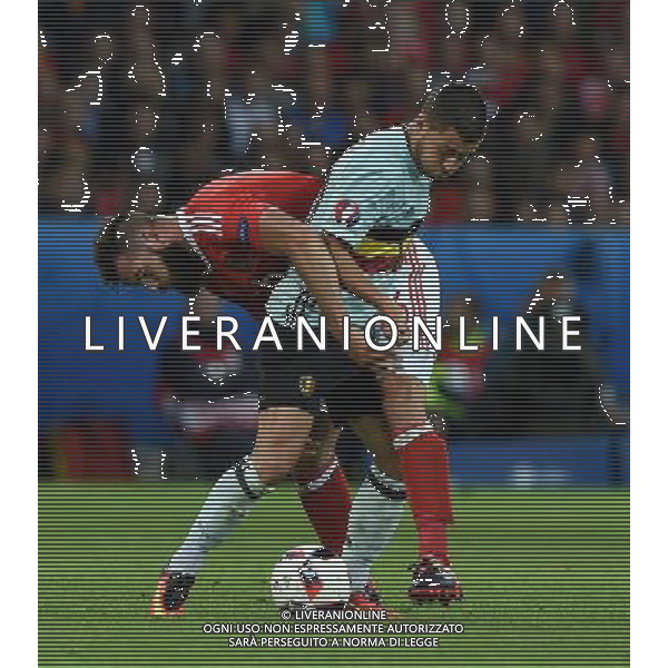 UEFA Francia EURO 2016 Final Tournament Quarter Finals Lille - 01.07.2016 Galles-Belgio Nella Foto:hazard ledley /Ph.Vitez-Ag. Aldo Liverani