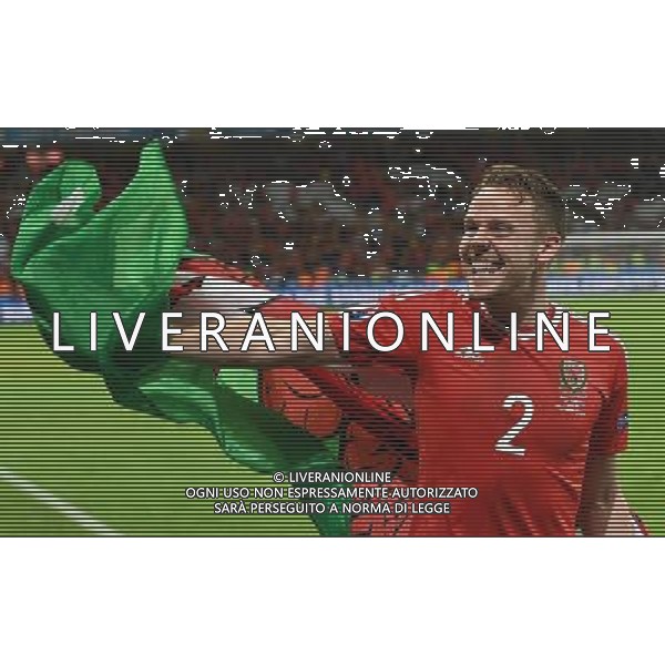 UEFA Francia EURO 2016 Final Tournament Quarter Finals Lille - 01.07.2016 Galles-Belgio Nella Foto:gioia galles - esultanza fine gara gunter /Ph.Vitez-Ag. Aldo Liverani