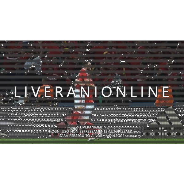 UEFA Francia EURO 2016 Final Tournament Quarter Finals Lille - 01.07.2016 Galles-Belgio Nella Foto:vokes esultanza /Ph.Vitez-Ag. Aldo Liverani