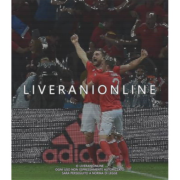 UEFA Francia EURO 2016 Final Tournament Quarter Finals Lille - 01.07.2016 Galles-Belgio Nella Foto:vokes esultanza /Ph.Vitez-Ag. Aldo Liverani