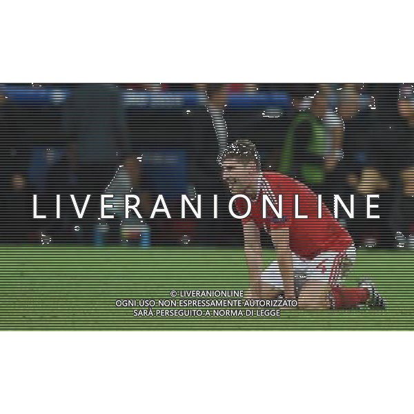 UEFA Francia EURO 2016 Final Tournament Quarter Finals Lille - 01.07.2016 Galles-Belgio Nella Foto:gioia galles - esultanza fine gara davies /Ph.Vitez-Ag. Aldo Liverani