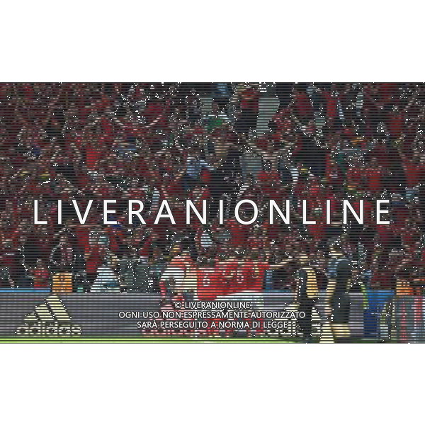 UEFA Francia EURO 2016 Final Tournament Quarter Finals Lille - 01.07.2016 Galles-Belgio Nella Foto:la gioia dei tifosi del galles dopo il gol di vokes - esultanza /Ph.Vitez-Ag. Aldo Liverani