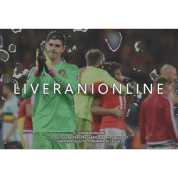 UEFA Francia EURO 2016 Final Tournament Quarter Finals Lille - 01.07.2016 Galles-Belgio Nella Foto:courtois saluta i tifosi - delusione /Ph.Vitez-Ag. Aldo Liverani