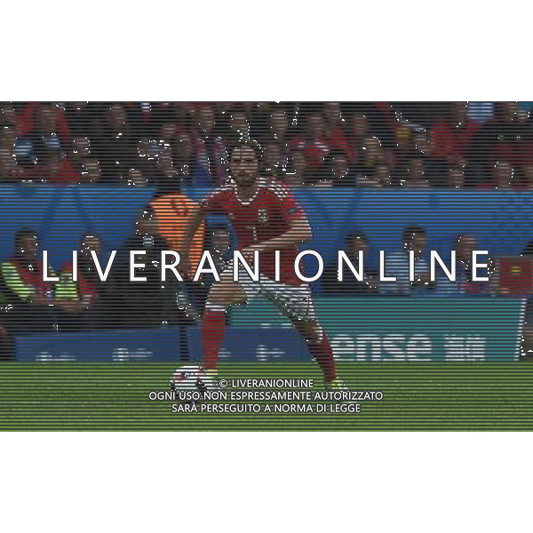 UEFA Francia EURO 2016 Final Tournament Quarter Finals Lille - 01.07.2016 Galles-Belgio Nella Foto:Allen Joe /Ph.Vitez-Ag. Aldo Liverani