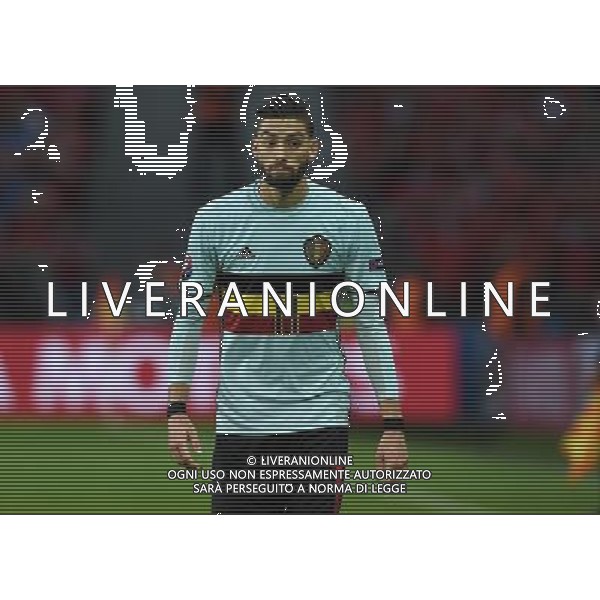 UEFA Francia EURO 2016 Final Tournament Quarter Finals Lille - 01.07.2016 Galles-Belgio Nella Foto:Carrasco Yannick /Ph.Vitez-Ag. Aldo Liverani