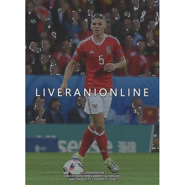 UEFA Francia EURO 2016 Final Tournament Quarter Finals Lille - 01.07.2016 Galles-Belgio Nella Foto:Chester James /Ph.Vitez-Ag. Aldo Liverani