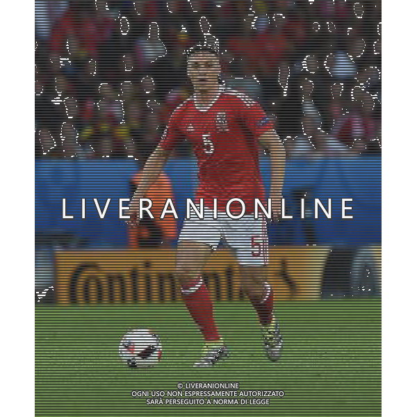 UEFA Francia EURO 2016 Final Tournament Quarter Finals Lille - 01.07.2016 Galles-Belgio Nella Foto:Chester James /Ph.Vitez-Ag. Aldo Liverani