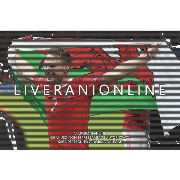 UEFA Francia EURO 2016 Final Tournament Quarter Finals Lille - 01.07.2016 Galles-Belgio Nella Foto:Gunter Chris /Ph.Vitez-Ag. Aldo Liverani