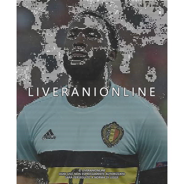 UEFA Francia EURO 2016 Final Tournament Quarter Finals Lille - 01.07.2016 Galles-Belgio Nella Foto:Lukaku Romelu /Ph.Vitez-Ag. Aldo Liverani
