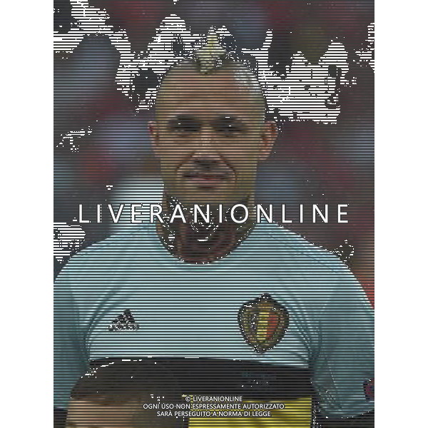 UEFA Francia EURO 2016 Final Tournament Quarter Finals Lille - 01.07.2016 Galles-Belgio Nella Foto:Nainggolan Radja /Ph.Vitez-Ag. Aldo Liverani