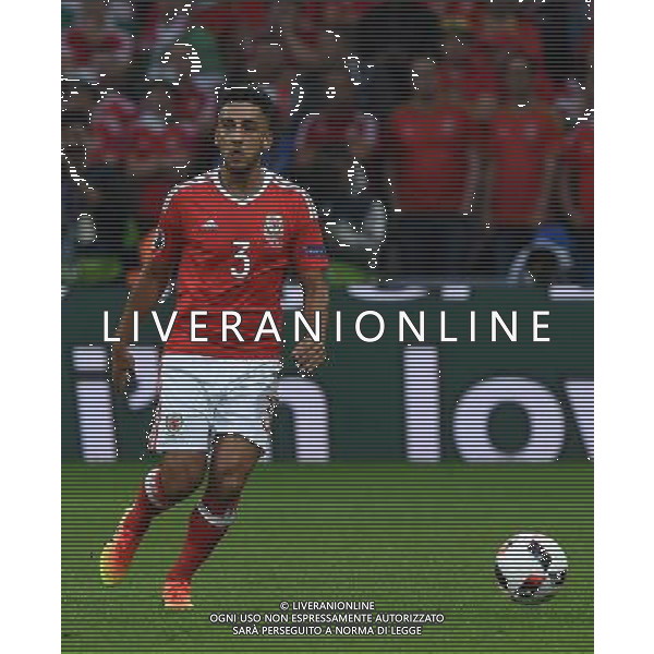 UEFA Francia EURO 2016 Final Tournament Quarter Finals Lille - 01.07.2016 Galles-Belgio Nella Foto:Taylor Neil /Ph.Vitez-Ag. Aldo Liverani