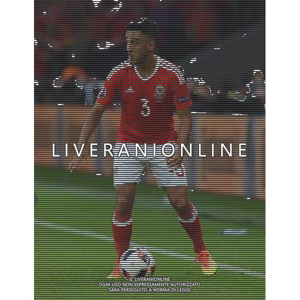 UEFA Francia EURO 2016 Final Tournament Quarter Finals Lille - 01.07.2016 Galles-Belgio Nella Foto:Taylor Neil /Ph.Vitez-Ag. Aldo Liverani