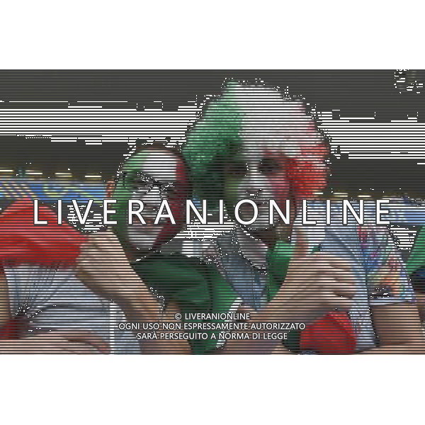 UEFA Francia EURO 2016 Final Tournament Quarter Finals Bordeaux - 02.07.2016 Germania-Italia Nella Foto:tifosi /Ph.Vitez-Ag. Aldo Liverani