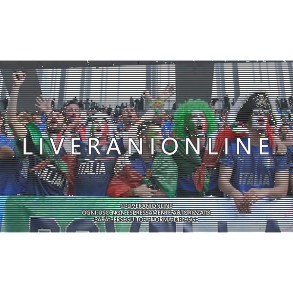UEFA Francia EURO 2016 Final Tournament Quarter Finals Bordeaux - 02.07.2016 Germania-Italia Nella Foto:tifosi /Ph.Vitez-Ag. Aldo Liverani
