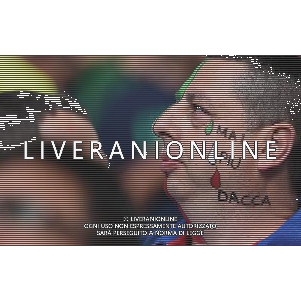 UEFA Francia EURO 2016 Final Tournament Quarter Finals Bordeaux - 02.07.2016 Germania-Italia Nella Foto:tifosi /Ph.Vitez-Ag. Aldo Liverani