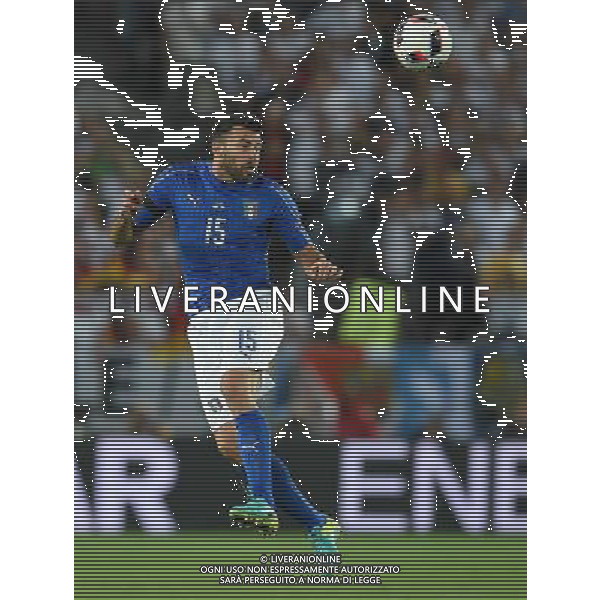 UEFA Francia EURO 2016 Final Tournament Quarter Finals Bordeaux - 02.07.2016 Germania-Italia Nella Foto:Barzagli Andrea /Ph.Vitez-Ag. Aldo Liverani
