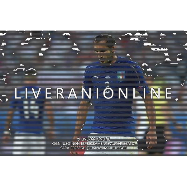 UEFA Francia EURO 2016 Final Tournament Quarter Finals Bordeaux - 02.07.2016 Germania-Italia Nella Foto:Chiellini Giorgio /Ph.Vitez-Ag. Aldo Liverani