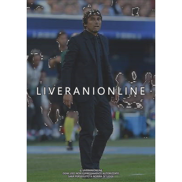 UEFA Francia EURO 2016 Final Tournament Quarter Finals Bordeaux - 02.07.2016 Germania-Italia Nella Foto:Conte Antonio /Ph.Vitez-Ag. Aldo Liverani