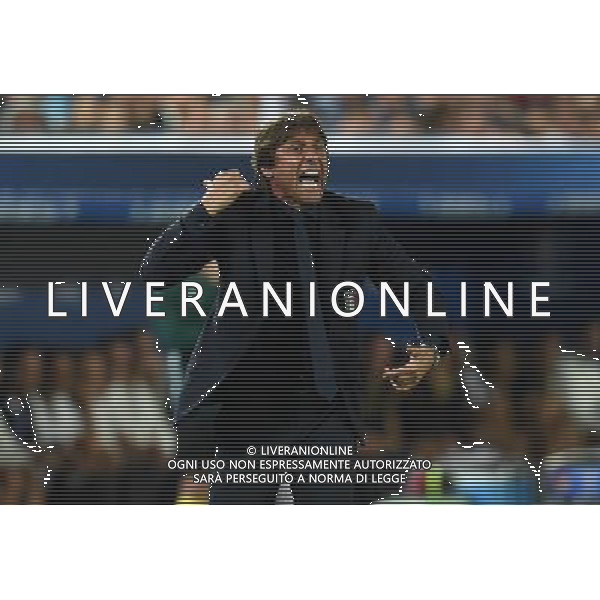 UEFA Francia EURO 2016 Final Tournament Quarter Finals Bordeaux - 02.07.2016 Germania-Italia Nella Foto:Conte Antonio /Ph.Vitez-Ag. Aldo Liverani