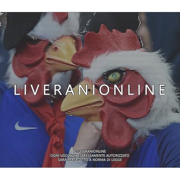 UEFA Francia EURO 2016 Final Tournament Quarter Finals Parigi Saint-Denis - 03.07.2016 Francia-Islanda Nella Foto:TIFOSI FRANCIA /Ph.Vitez-Ag. Aldo Liverani