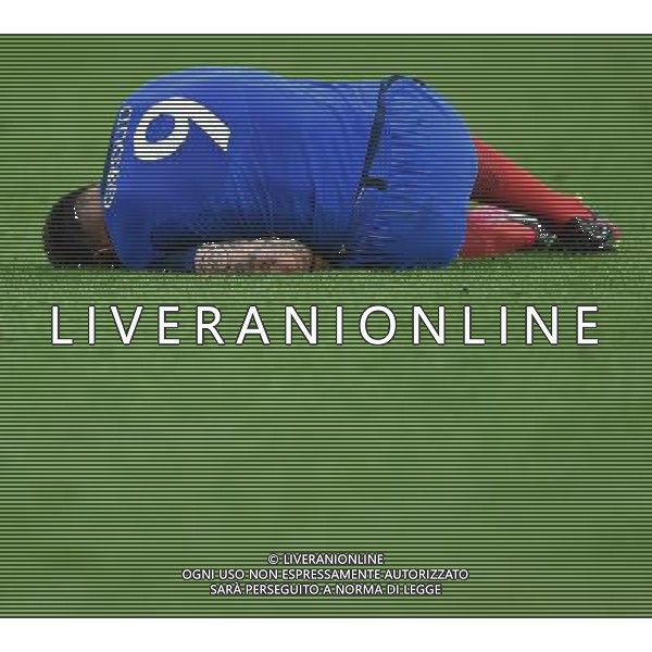 UEFA Francia EURO 2016 Final Tournament Quarter Finals Parigi Saint-Denis - 03.07.2016 Francia-Islanda Nella Foto:Giroud Olivier /Ph.Vitez-Ag. Aldo Liverani