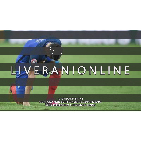 UEFA Francia EURO 2016 Final Tournament Quarter Finals Parigi Saint-Denis - 03.07.2016 Francia-Islanda Nella Foto:Giroud Olivier /Ph.Vitez-Ag. Aldo Liverani