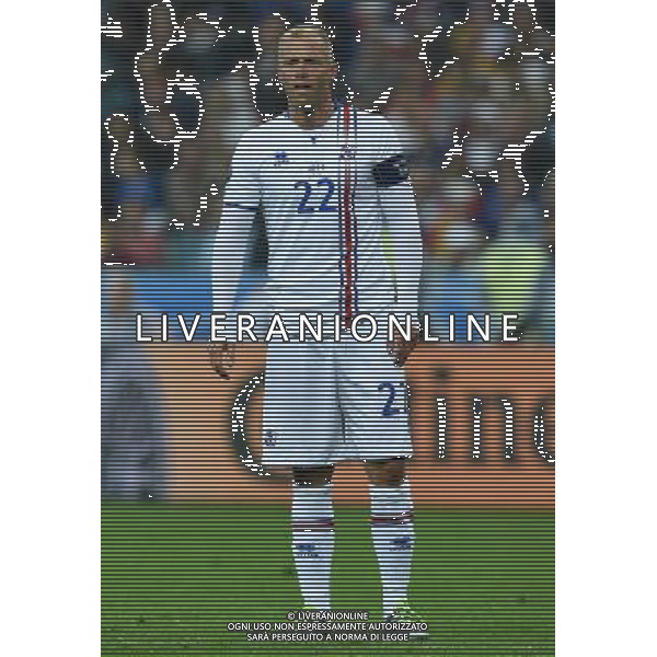 UEFA Francia EURO 2016 Final Tournament Quarter Finals Parigi Saint-Denis - 03.07.2016 Francia-Islanda Nella Foto:Gudjohnsen Eidur /Ph.Vitez-Ag. Aldo Liverani